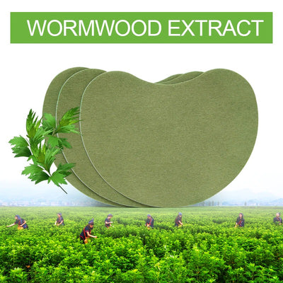 Wormwood Pain Relieving Patches