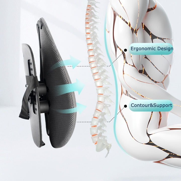 FlexiCurve Lumbar Support