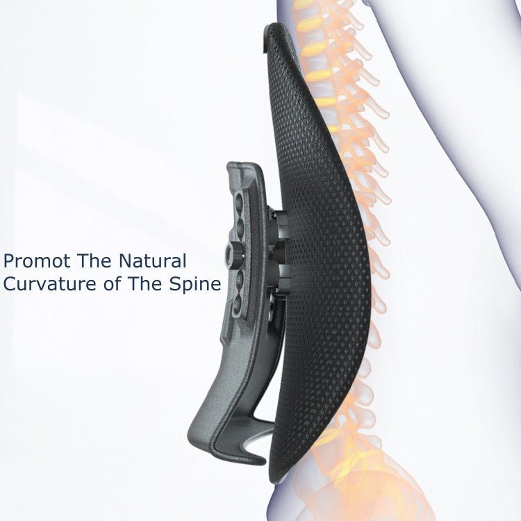 FlexiCurve Lumbar Support