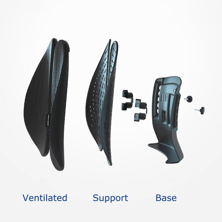 FlexiCurve Lumbar Support