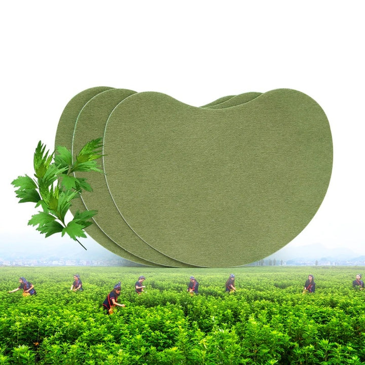 Wormwood Pain Relieving Patches