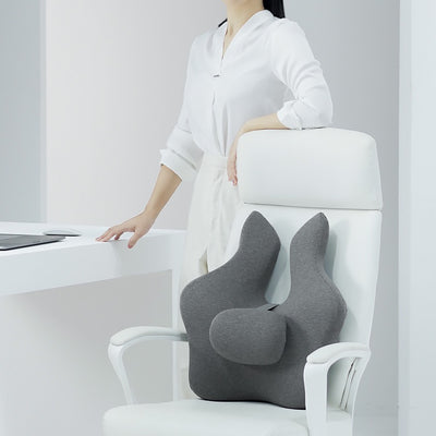 Back Relief Lumbar Support Cushion
