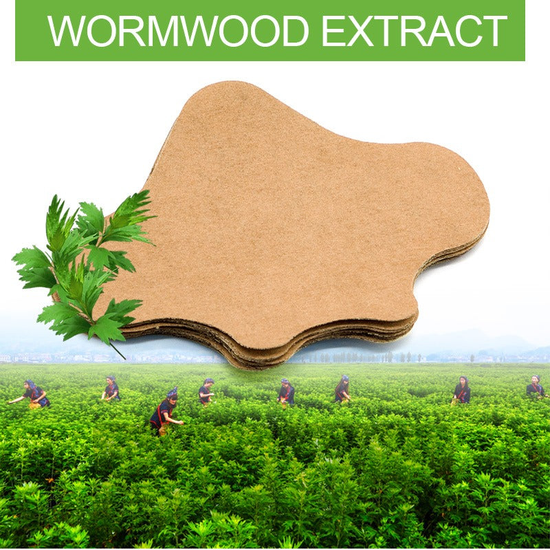 Wormwood Pain Relieving Patches – JustStroll